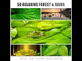 Calming Sounds of Nature Surroundings