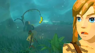 The Secret in the Lost Woods Almost Everybody Missed