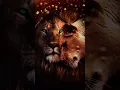 Lions Love Animated wallpaper