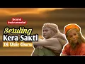 Download Lagu Paling Sedih Ost Kera Sakti Di usir Guru
