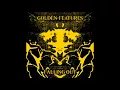 Falling Out - Golden Features