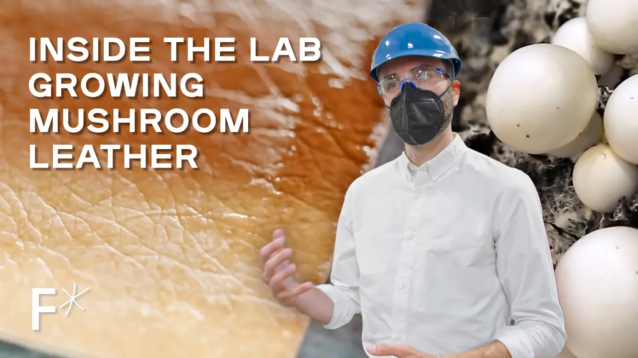 See Inside the Lab Growing Mushroom Leather | Freethink*