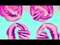 MOTi, Katt Niall - I Kinda Like It (Lyric Video)