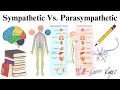 MBLEx Review The Nervous System Sympathetic and Parasympathetic Nervous Systems