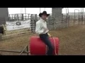 Bull Rider Coach - Jump and Kick