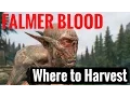 Skyrim REMASTERED - Falmer Blood Where to Harvest