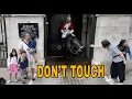 Download Lagu Guard Shouts Don’t Touch the Horse‼️