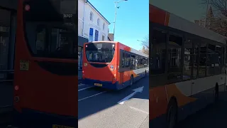           دندنها