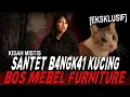 Lagu 1000 JIN DIPELIHARA TAPI TETEP BISA DITEMBUS SANTET B4NGK3 KUCING !! KISAH MISTIS BOS MEBEL