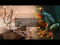 La Princesa y el Sapo- LETRA Cristianas/ Alex Zurdo, Funky y Redimi2