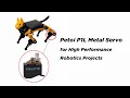 Harnessing Quadruped Power Petoi High-Performance Metal Servos in Action with Bittle Robotics Kit