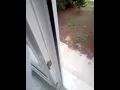 Birsin Allah'ım - Vezir Harman / Çocuk ilahisi / Müziksiz ilahi