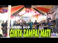 Download Lagu Pusang ROP | Cinta Sampai Mati ( Koplo Bajidor )