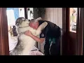 Download Lagu Another Surprise Visitor! Intruder Alert Grandad The Malamute Whisperer!!