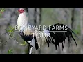 BONEYARD FARM - MOSTRANDO SU GRANJA