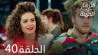 الأزهار الحزينة الحلقة 40 كاملة Kırgın Çiçekler 