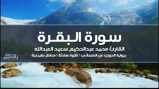 سورة البقرة القارئ محمد عبدالحكيم سعيد العبدالله رواية الدوري عن الكسائي مناظر طبيعية 