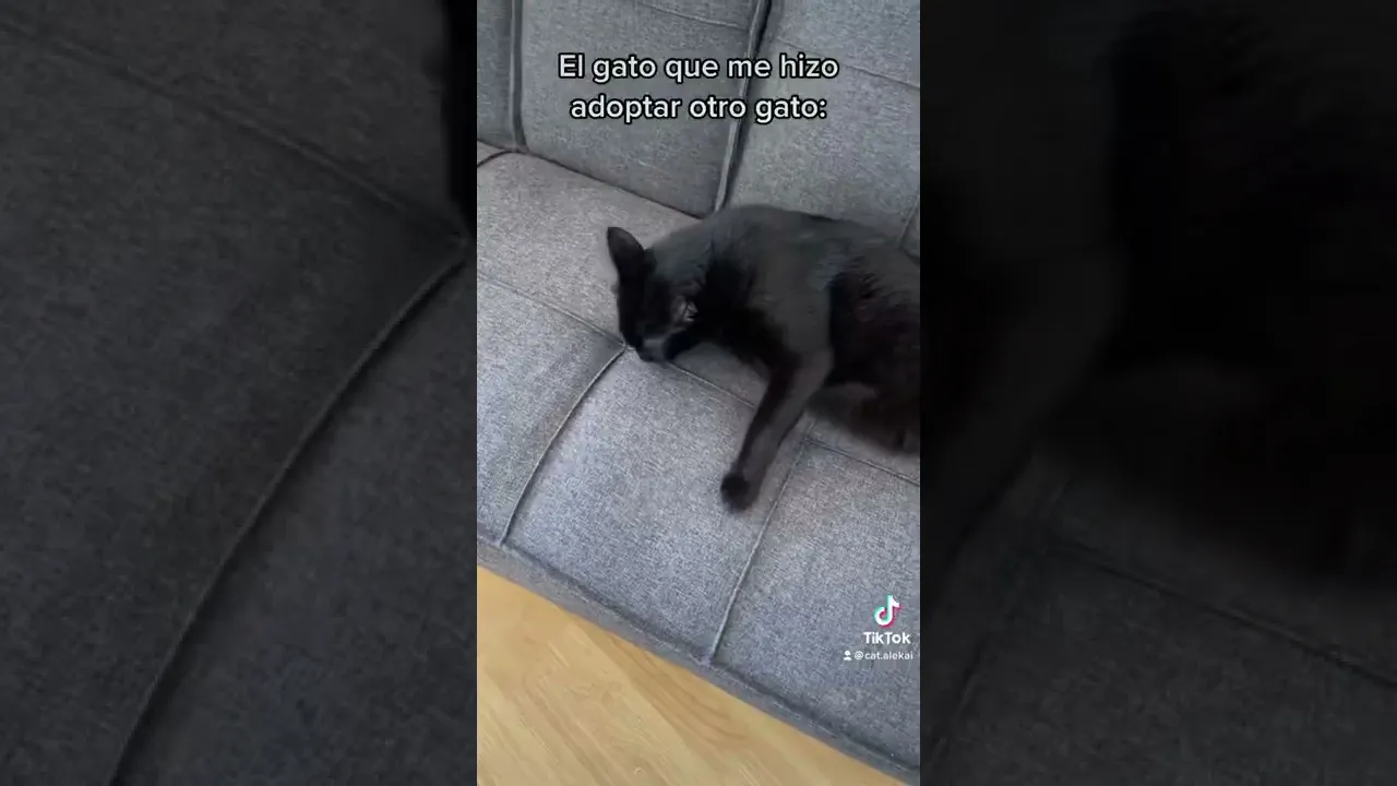 El otro: