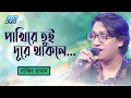 Download Lagu পাখিরে তুই দূরে থাকলে | Pakhire tui Dure Thakle | সাব্বির আহমেদ | Sabbir Jaman | ETV Music