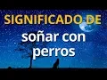 Que significa sonar con perros Interpretacion de los Suenos