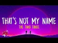 The Ting Tings - That s Not My Name