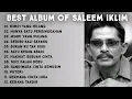 Lagu LAGU MALAYSIA TERBAIK SEPANJANG MASA | Best album of saleem iklim