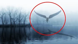 angels caught on camera spotted in real life 2026