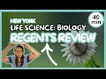 Life Science Biology Regents Review New York Biology Exam