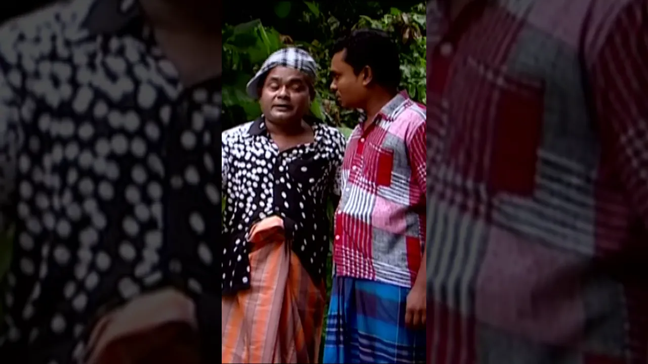 আধা পাগল হারনের বয়স ৩০