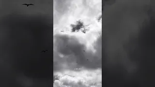 ياسيدي أنسى  ناصيف زيتون                           دندنها