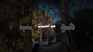 هو الحبيب الذي ترجى شفاعته صلوا على الحبيب םבםב ﷺ حالات واتس ابتهالات دينيه 