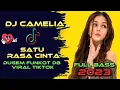 Download Lagu DJ CAMELIA X SATU RASA CINTA-Dugem hard funkot viral tiktok terbaru 2023.