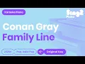 Download Lagu Conan Gray - Family Line (Piano Karaoke)