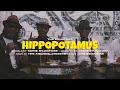 Download Lagu The Equators - Hippopotamus (Official Video)