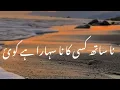 Download Lagu na sath kisi ka,na sahara hai koi|mr nomi shayari|best 2 lines poetry|deep lines status|true lines|