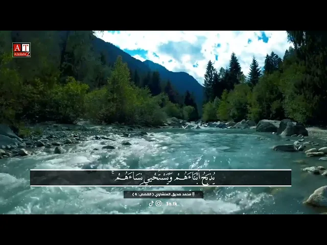 ⁣إِنَّ فِرْعَوْنَ عَلَا فِي الْأَرْضِ .. || مقطع جميل جدا ، الشيخ محمد صديق المنشاوي رحمه الله