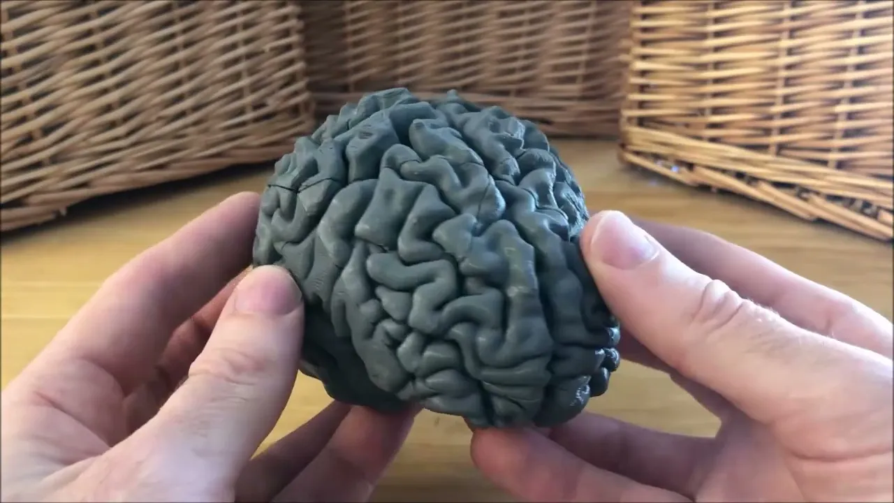 Brain Teaser