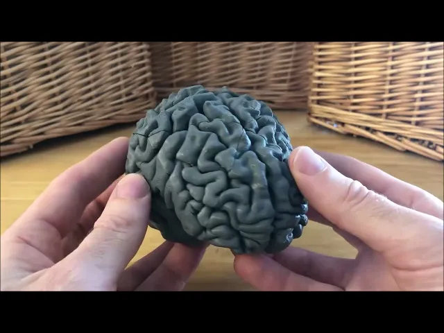 Brain Teaser video thumbnail
