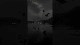 حبيب عينيا حبيب احلامي تصميم فيديوهات اغاني ستوريات انستا 