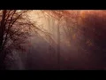 (1 hour version)  Potsu- I'm closing my eyes (slowed)