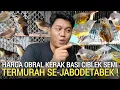 KIOS BMJ ! TERKENAL MURAH SE-JABODETABEK OBRAL CIBLEK SEMI KERAK BASI ALIS HITAM JAKARTA BARAT 