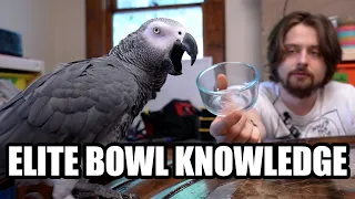 This Bird Knows Bowl