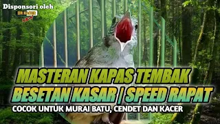 paling di cari masteran murai batu besetan katem ngerol tembakan tajam speed rapat 