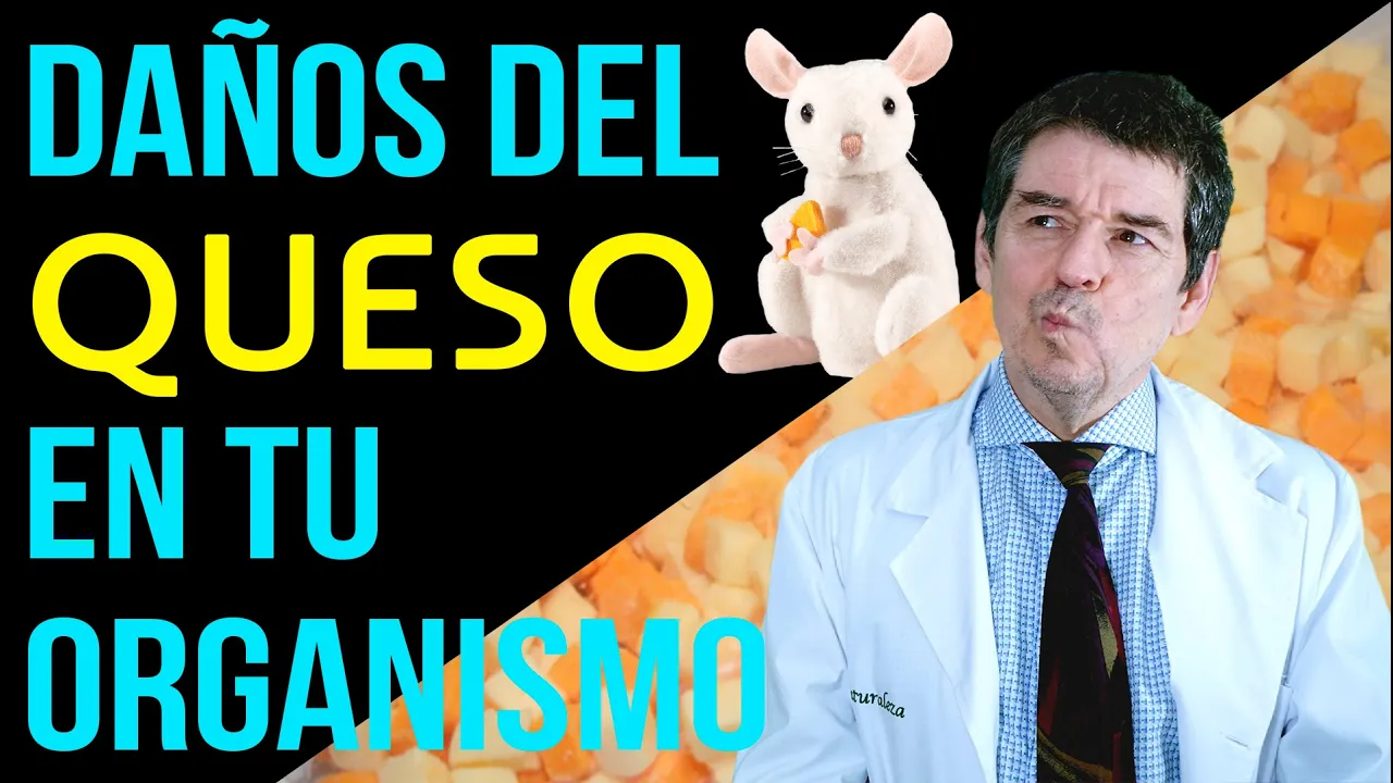 Como afecta el QUESO a tu VIDA. Datos clave sobre este tipo de Lácteo.