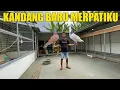 Download Lagu KANDANG BARU  DAN SEPIL SEMUA BURUNG MERPATIKU