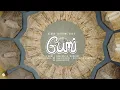 Download Lagu GUMI @ The Dome - Ozora Festival 2023 (Full Set Movie)