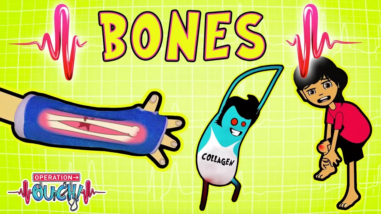 Science for kids | BREAKING BONES | Experiments for kids | Operation Ouch