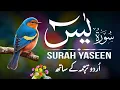 Surah Yaseen | Surah Yaseen With Urdu Translation | Al Furqan Studio | Ep047
