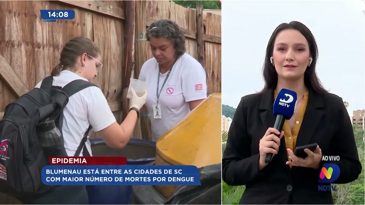 Blumenau está entre as cidades de SC com maior número de mortes por dengue