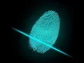 Real-time fingerprint Recognition System using Multi-class SVM in MATLAB 91-8283824812 for query